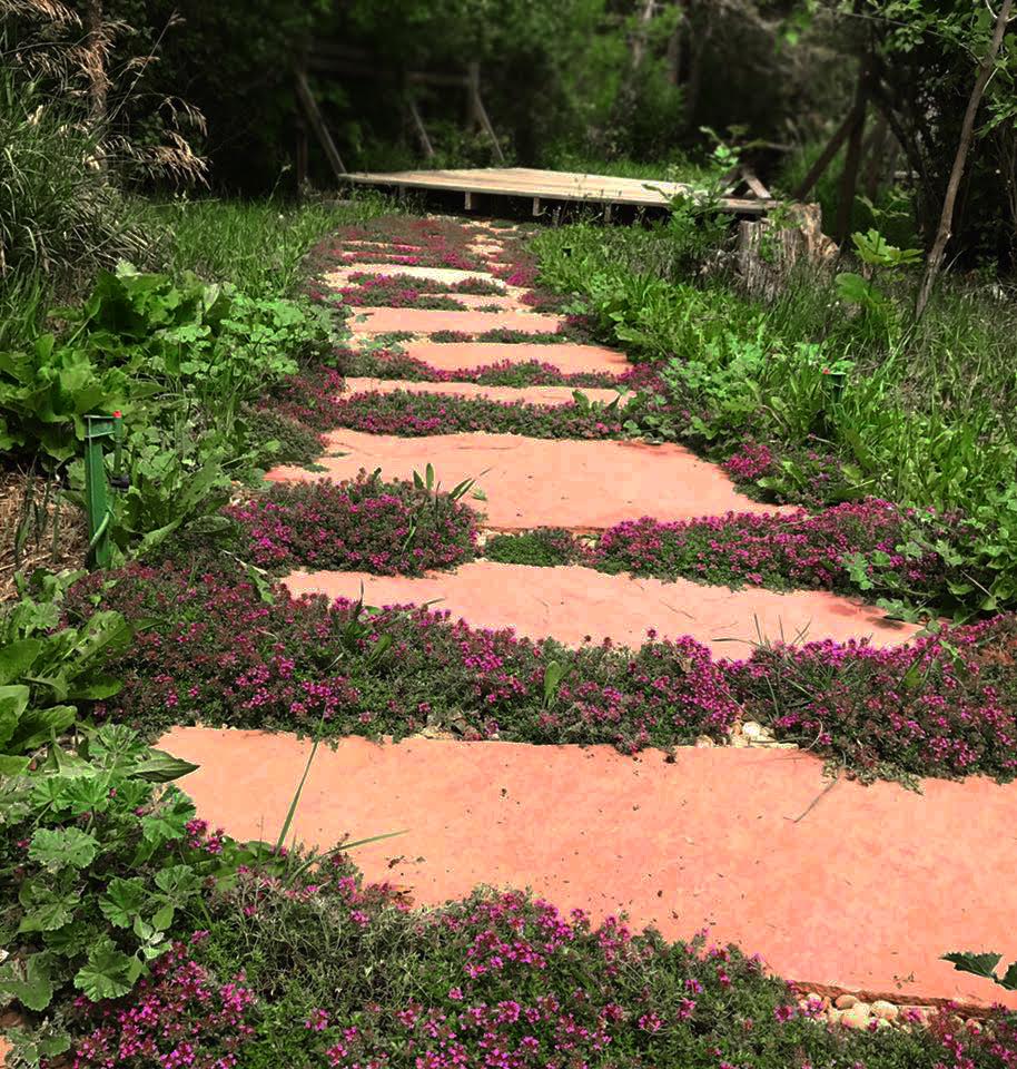 pathway lined with flowers